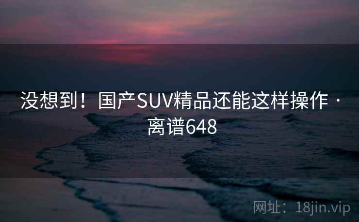 没想到！国产SUV精品还能这样操作 · 离谱648
