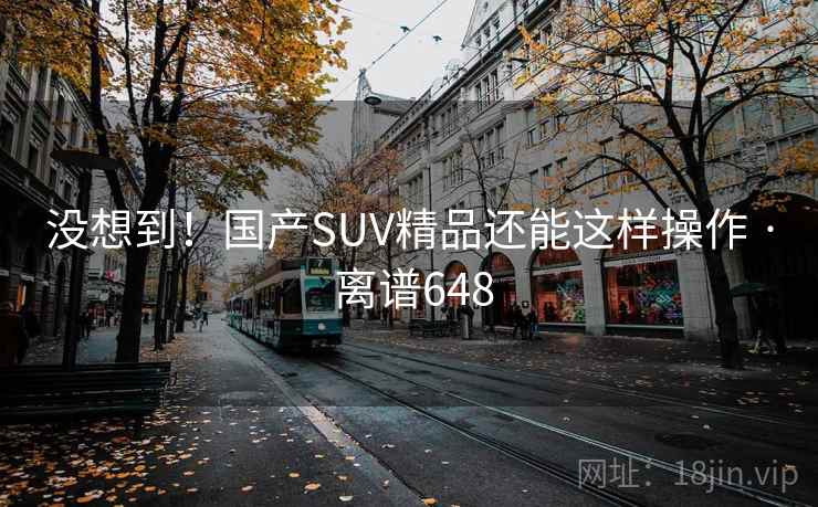没想到!国产SUV精品还能这样操作 · 离谱648 没想到!国产SUV精品还能这样操作 · 离谱648